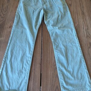 AG Adriano Goldschmied Protege Straight Leg Womens Light Green Pants Size 32x34
